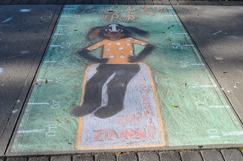  Sigma Nu UTK competed chalk drawing during Homecoming 2018