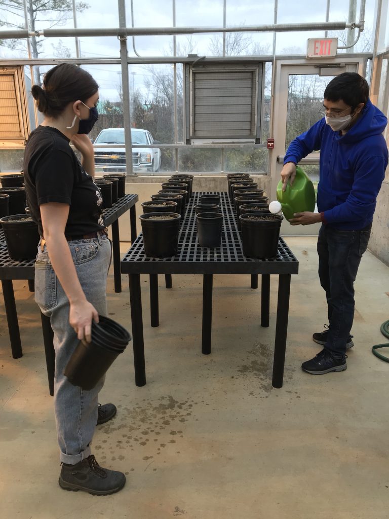 Research  Soil Management Lab