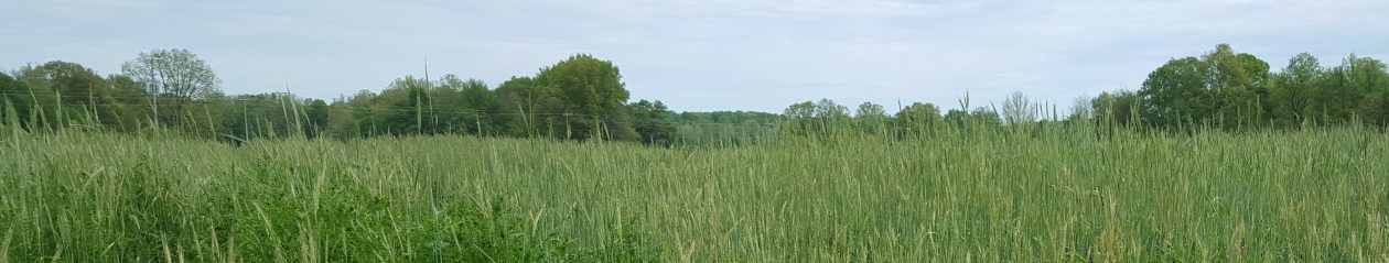 Research  Soil Management Lab