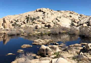 mountains reflected in a body of water at Joshua Tree National Park