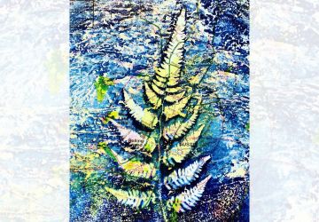 artistic print of a native plant on a Texas roadmap