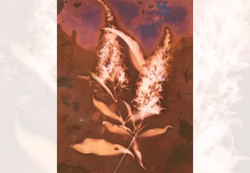 artistic print of a plant with an ethereal background